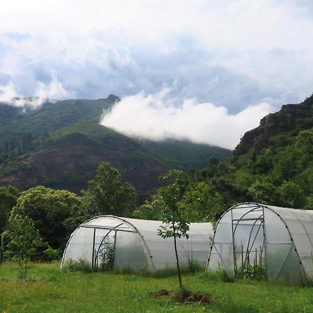 Casa Rural Chao De Castro Riodeporcos Eksteriør bilde